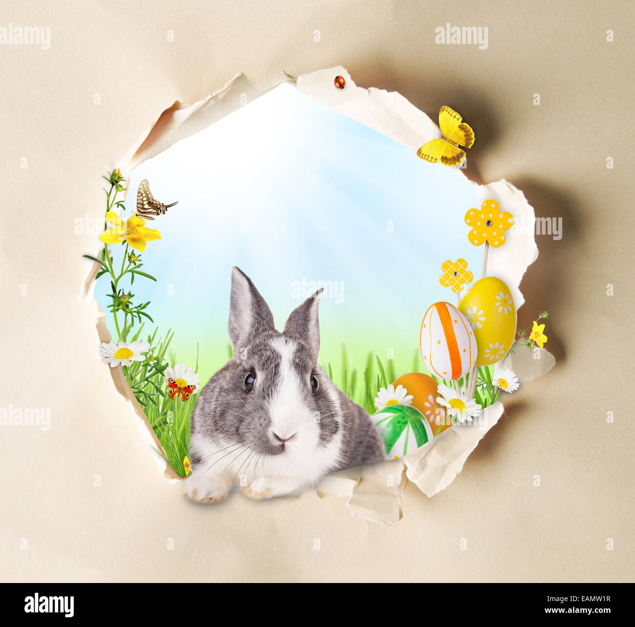 Molla concettuale con tema gappy carta e prato primavera con coniglio, farfalle e fioritura chamomiles Foto Stock