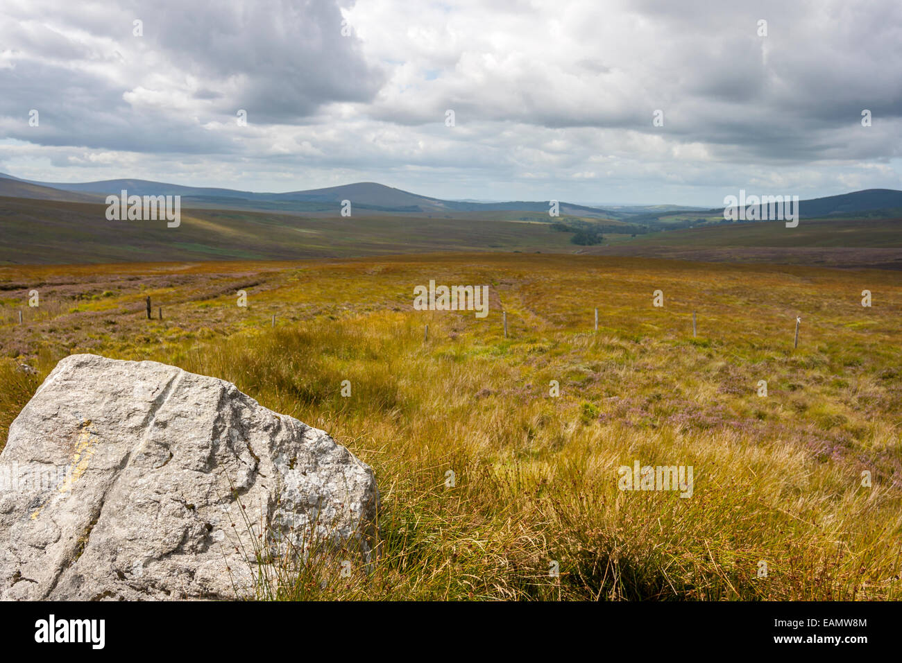 Giallo prateria Wicklow Mountains paesaggio in Irlanda Foto Stock