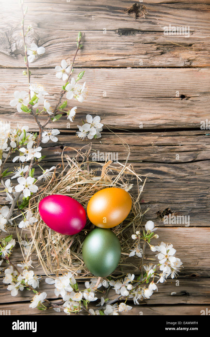 Molla di fiori bianchi su assi di legno di superficie colorata con le uova di pasqua. Spazio libero per il testo Foto Stock