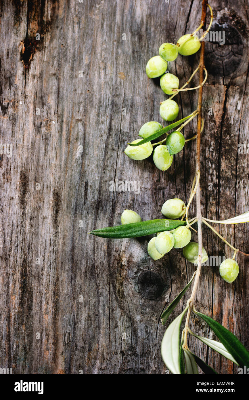 Verde e nero olive branch sopra il vecchio tavolo in legno. Vista dall'alto. Foto Stock