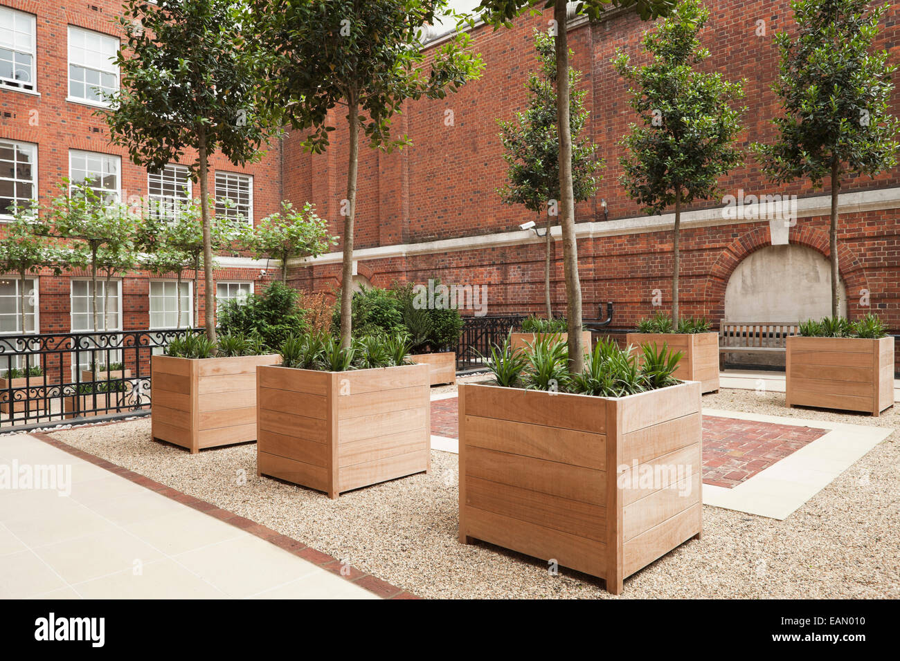 Livello superiore di mattoni rossi cortile a Londra nel quartiere di Mayfair. Legno Iroko piantatrici con single-di gambi di alberi sempreverdi e piante perenni impostato sulla superficie di ghiaia tra york di pietra e mattoni rossi, pavimentazione Grosvenor Square, London, Regno Unito Foto Stock