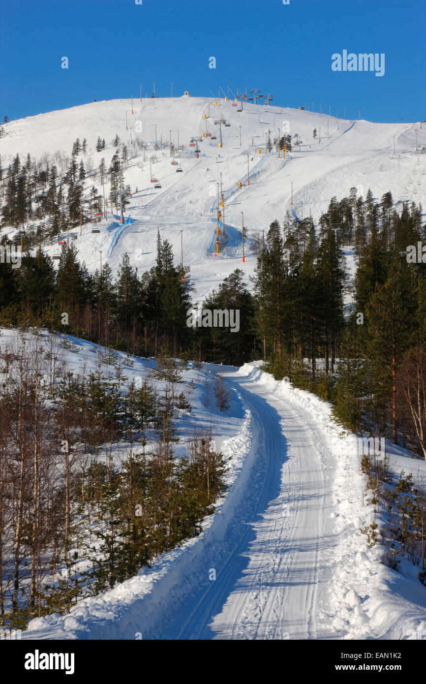 Finlandia, piste per lo sci di fondo su Pyhä, Lapponia Foto Stock