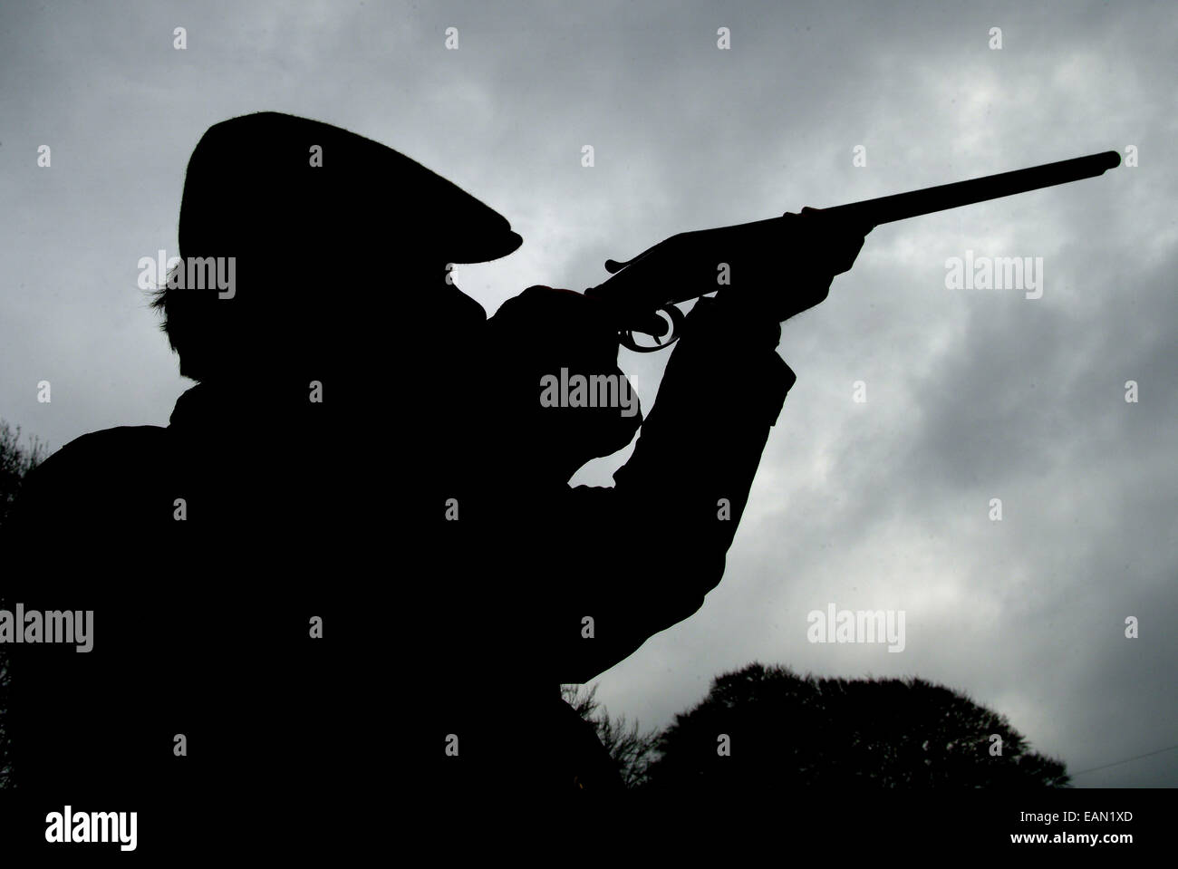 25x 13A Fusibili Domestici Spina Top Rete Domestica 13amp - Foto 2