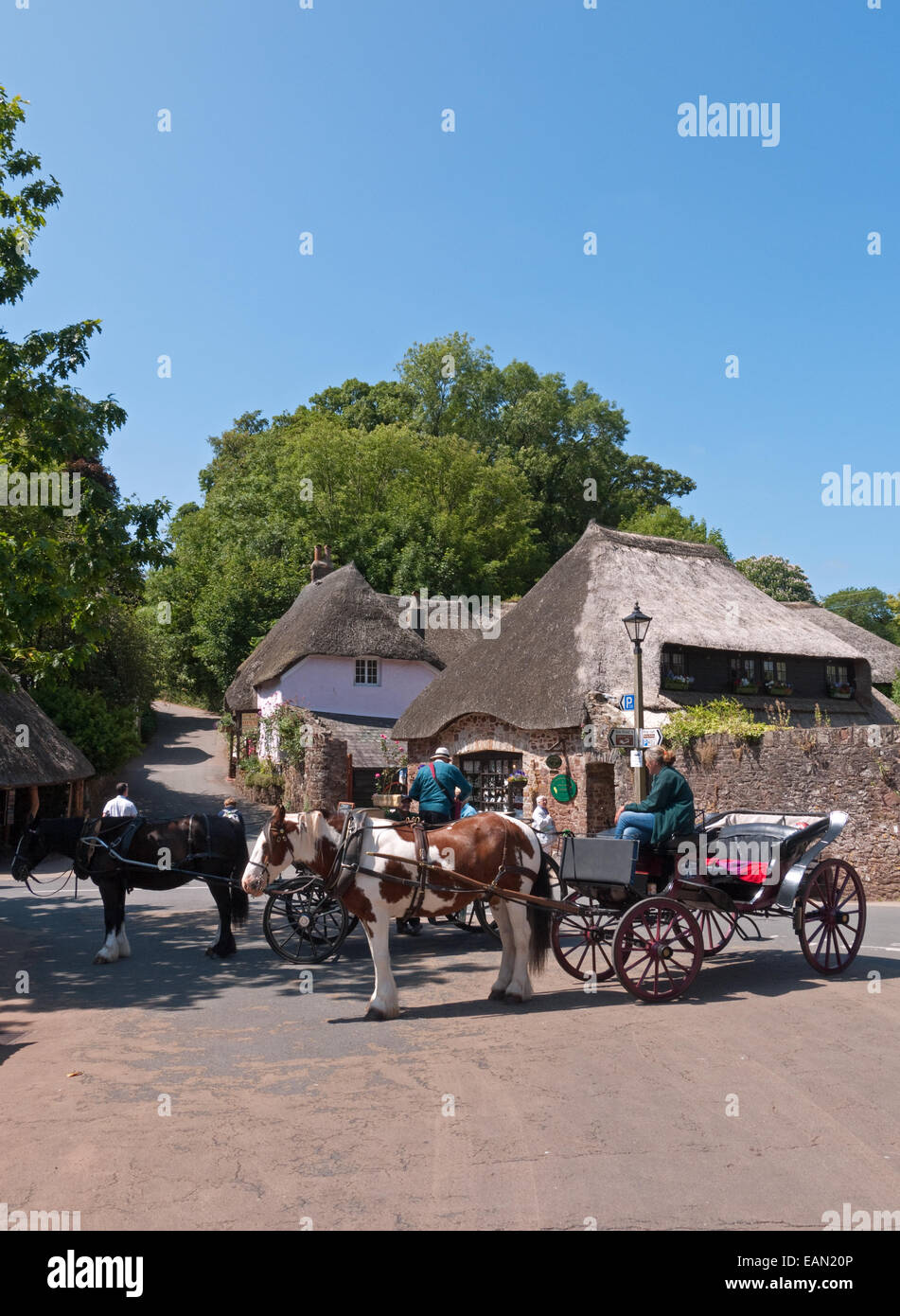 L Antico Borgo Paglia di Cockington nel Devon, con il suo cavallo e carrozza di Hackney, Inghilterra Foto Stock