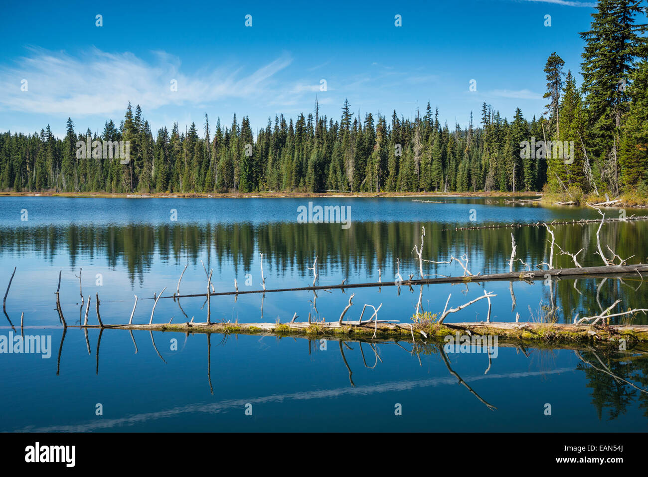 Marilyn superiore Lago, Willamette National Forest, Oregon Foto Stock