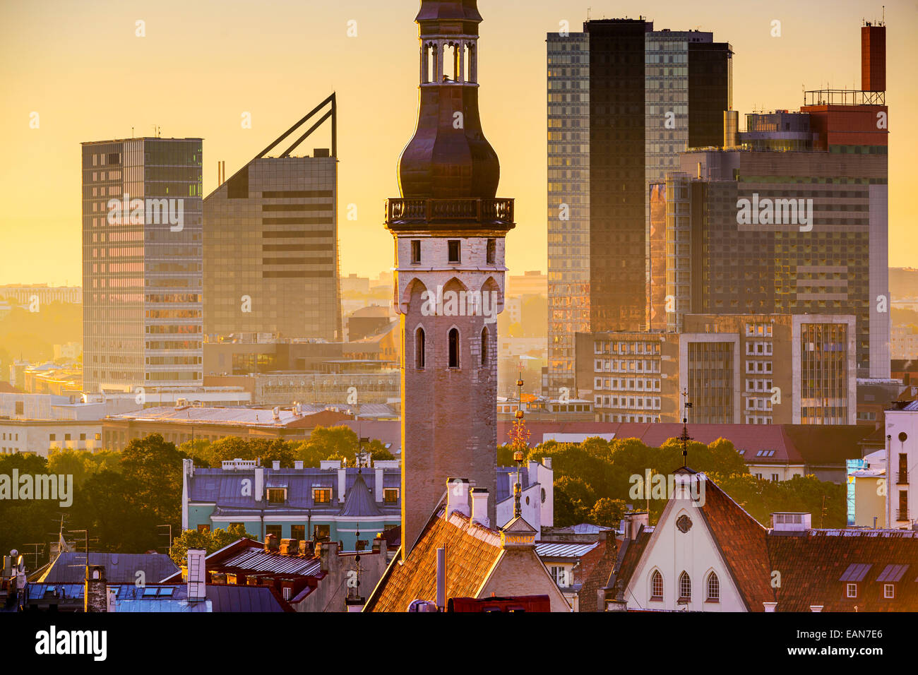 Tallinn, Estonia cityscape di mattina. Foto Stock
