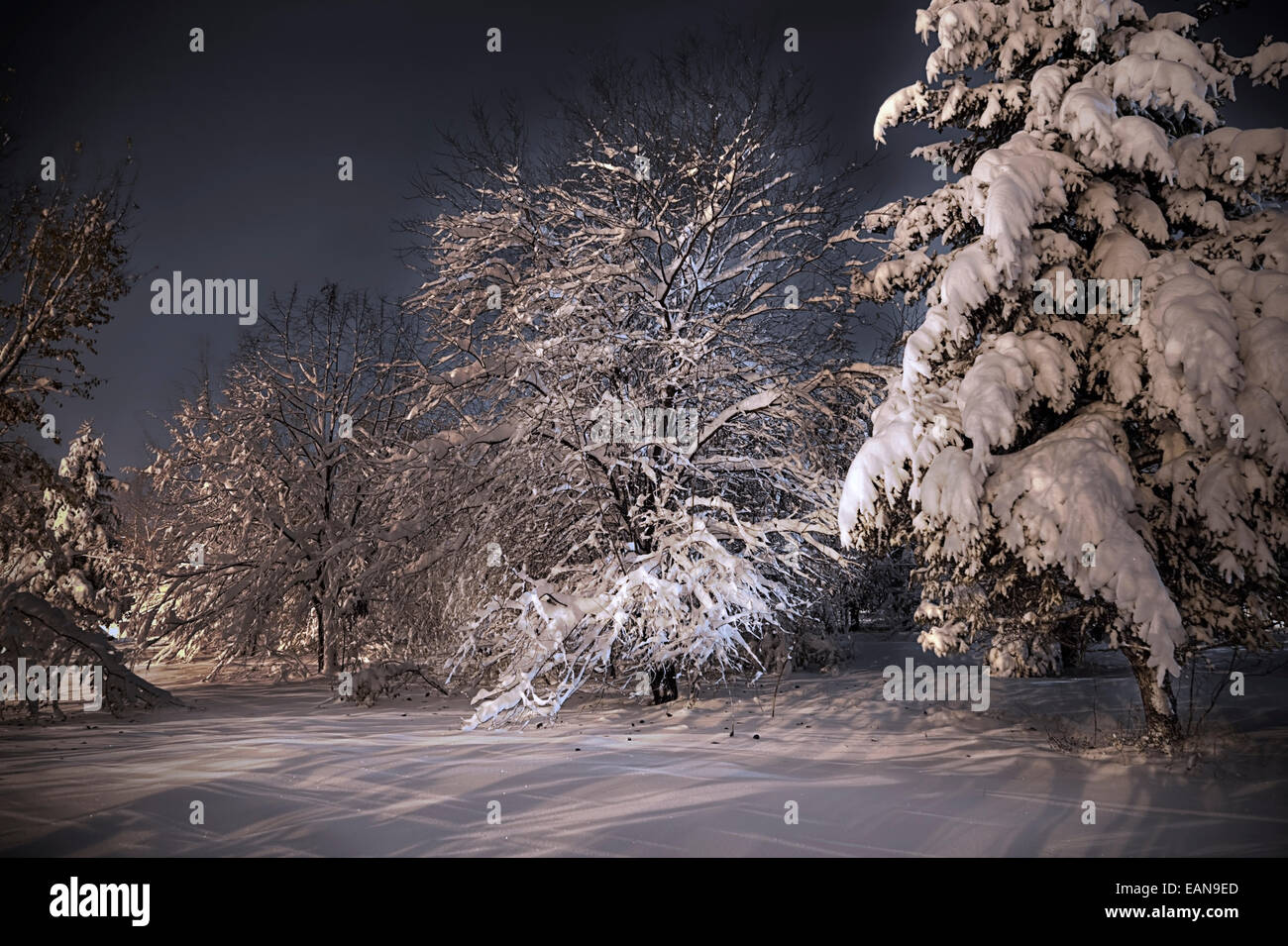 Scena Notturna, dancing ombre sulla neve Foto Stock