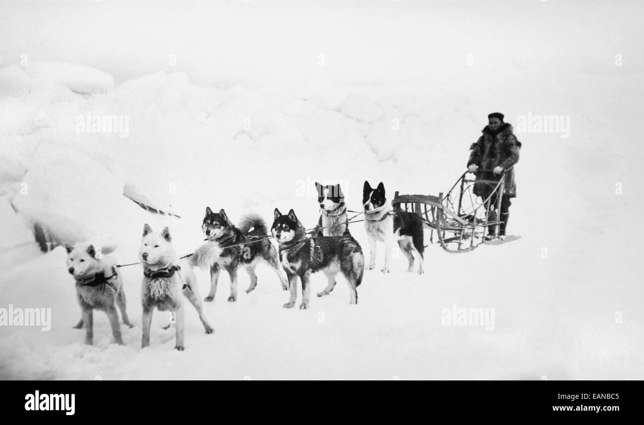 Immagine storica di Sled Dog Team e Musher su ghiaccio/Nwinter Alaska Foto Stock