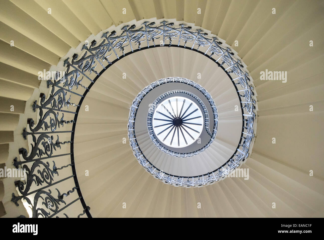 Vista dal basso della scala a spirale (il Tulip) e la Lanterna, il Queens House, Greenwich, Londra Foto Stock