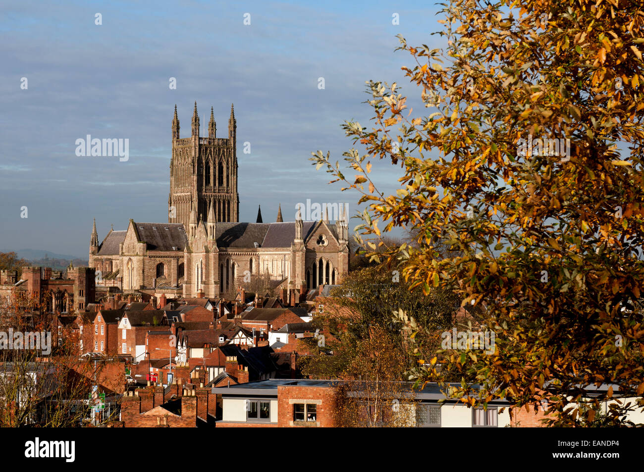 Cattedrale di Worcester da Fort Royal Park in autunno, Worcestershire, Regno Unito Foto Stock