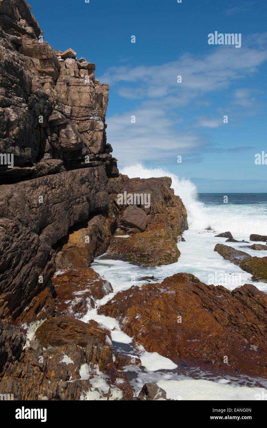 Costa rocciosa con onda di rottura che conduce al Capo di Buona Speranza, Western Cape, Sud Africa Foto Stock