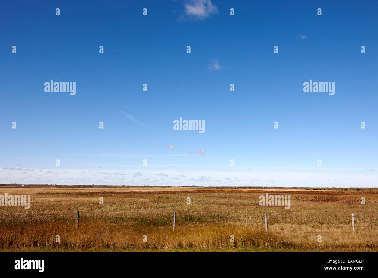 I campi della prateria e terreni agricoli Saskatchewan Canada Foto Stock