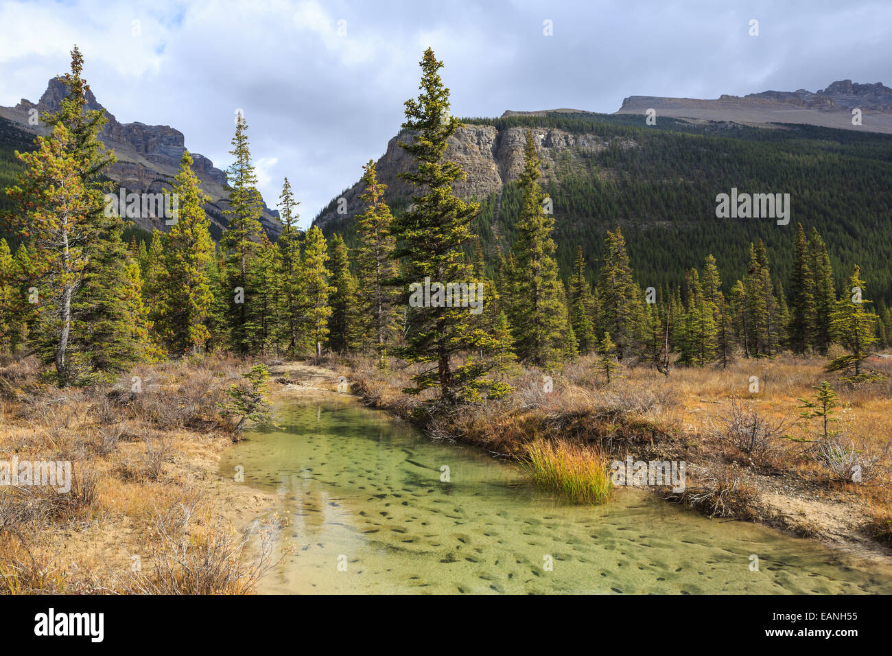 Natura Italia Foto Stock