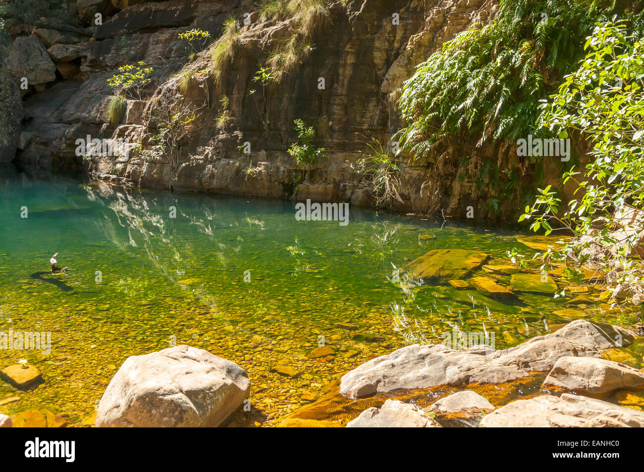 Rock Pool in Emma Gorge, El Questro, WA, Australia Foto Stock