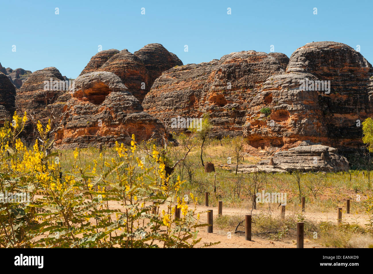 Alveari in Purmululu, il Kimberley, WA, Australia Foto Stock