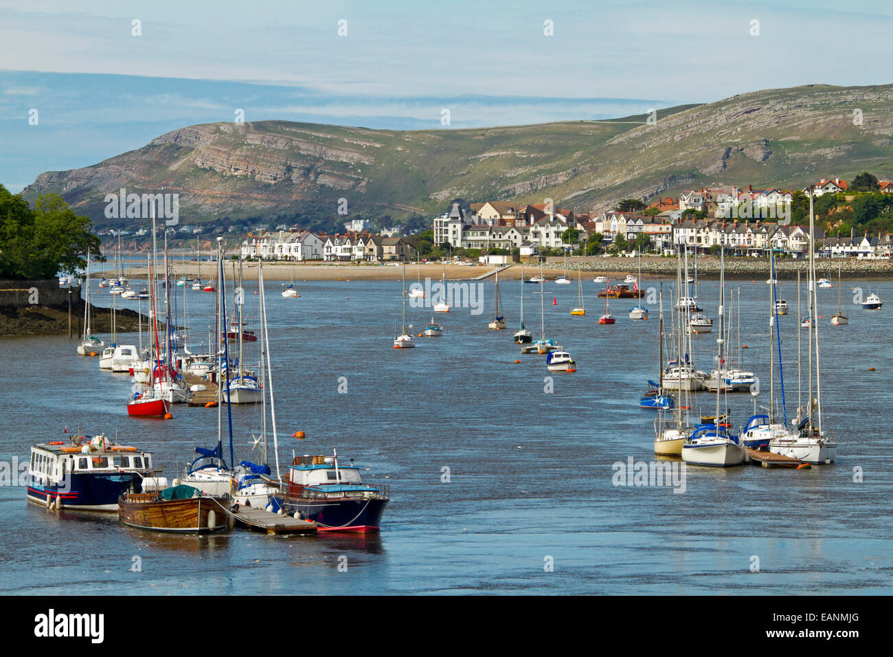 Barche ormeggiate sulle calme acque blu di estuario del fiume Conwy con edifici della cittadina gallese di Conwy alla base della collina adiacente Foto Stock