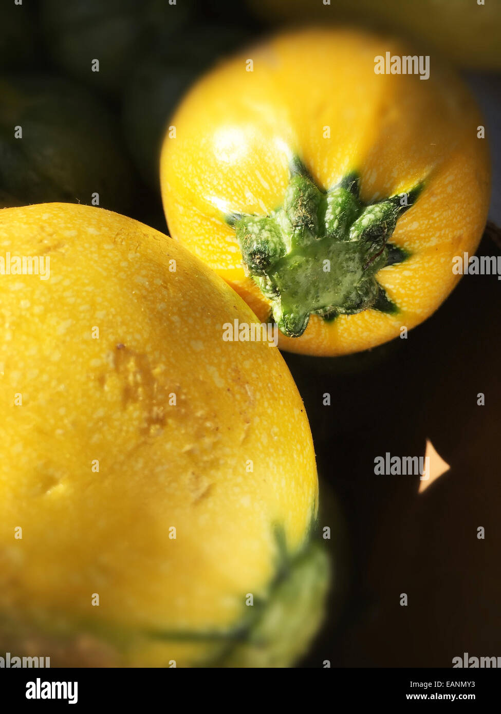 Zucchine giallo sotto il sole al mercato degli agricoltori di stand Foto Stock