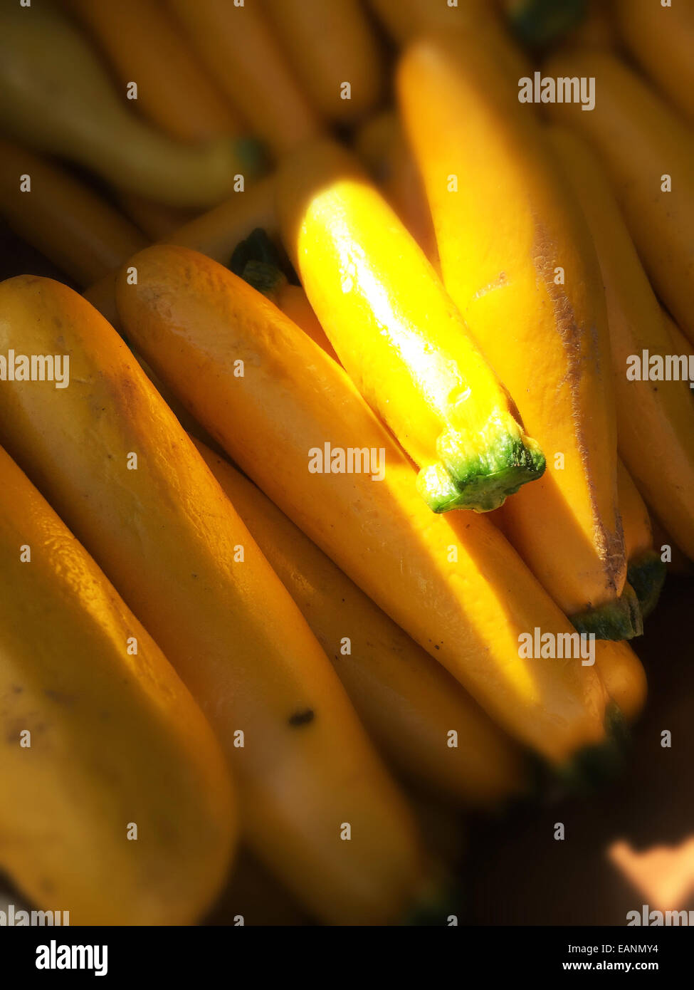 Zucchine giallo sotto il sole al mercato degli agricoltori di stand Foto Stock