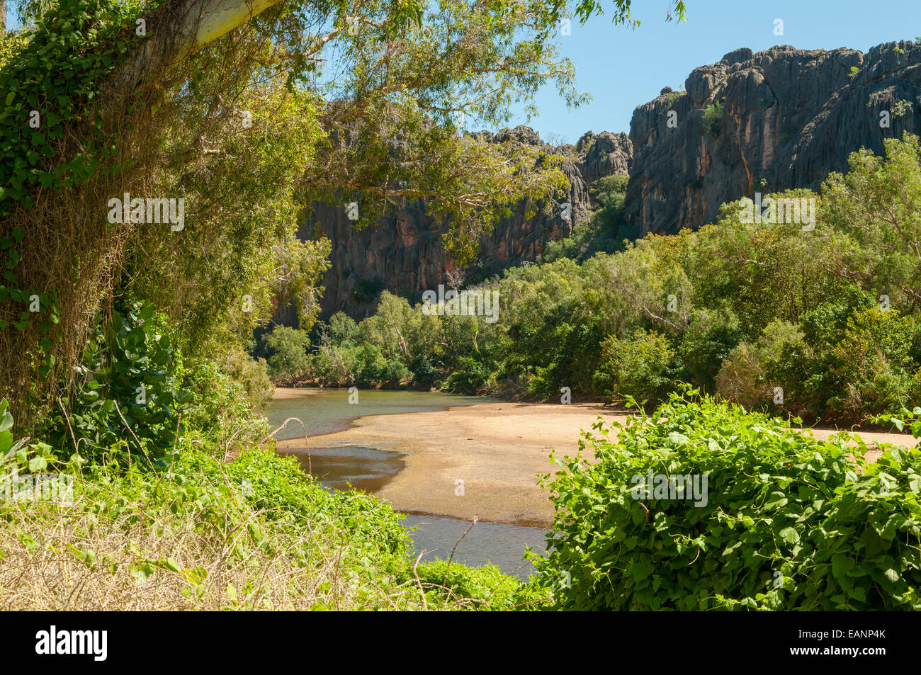 Windjana Gorge, il Kimberley, WA, Australia Foto Stock