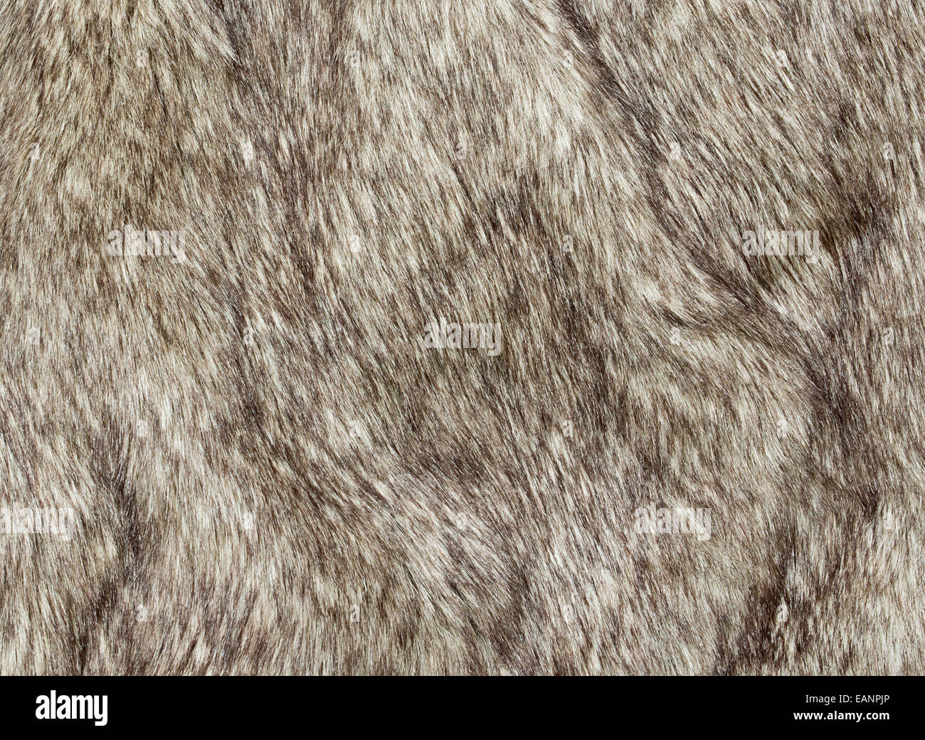 Pelliccia di tessuto per l'industria della moda utilizzato per ricreare artificialmente di pelli animali ivi comprese le renne e coyote. L'uso di un Foto Stock