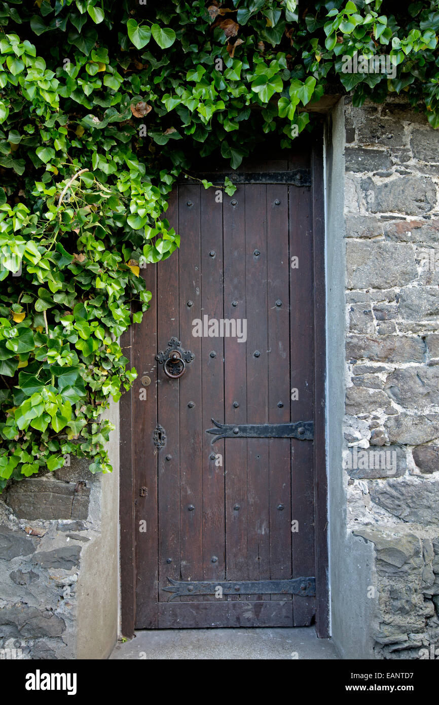 Marrone stretta porta di legno con grandi cerniere nero nel vecchio muro di pietra e circondata da fogliame color smeraldo nella cittadina gallese di Conwy Foto Stock