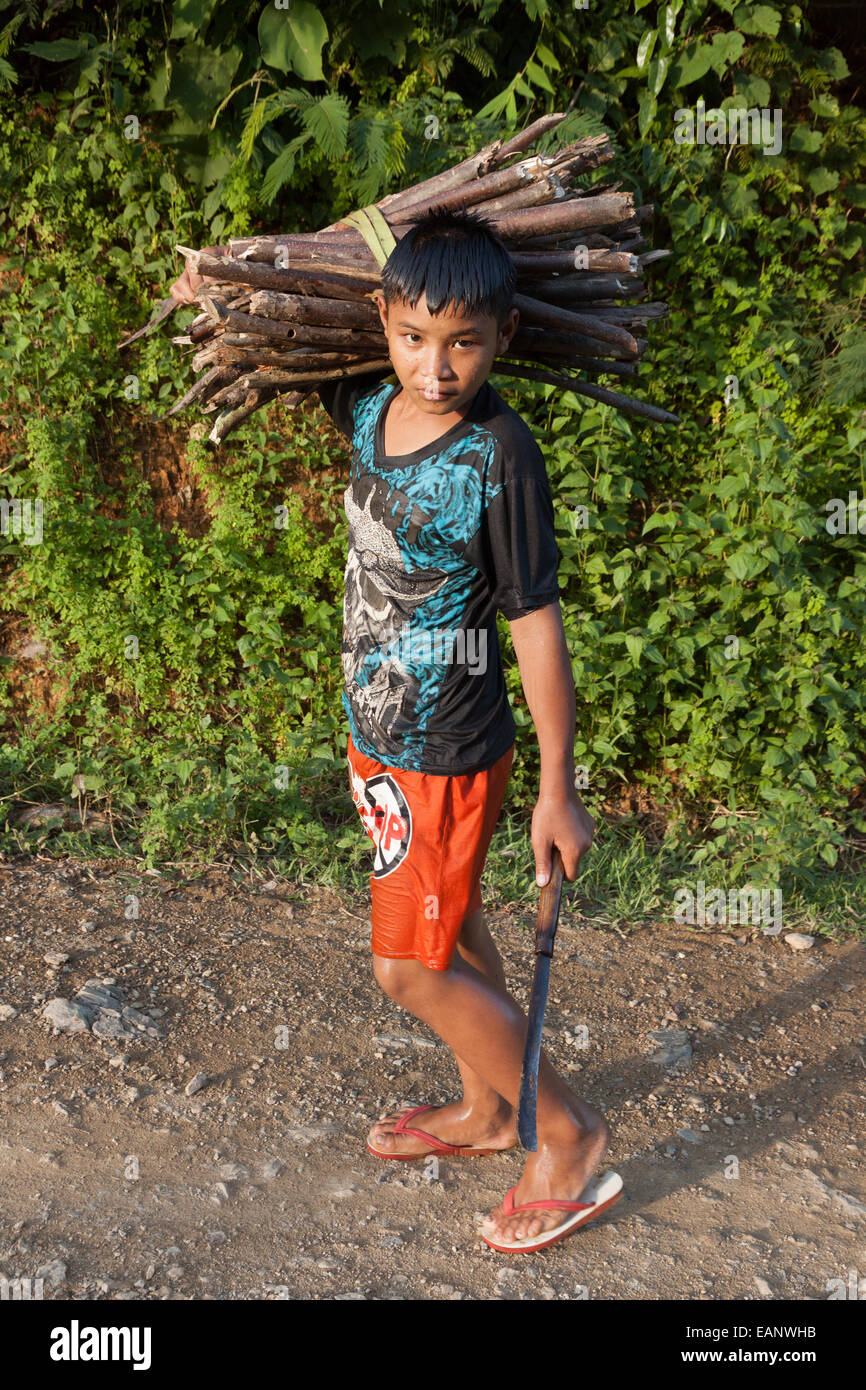 Lao boy raccogliere legname Foto Stock