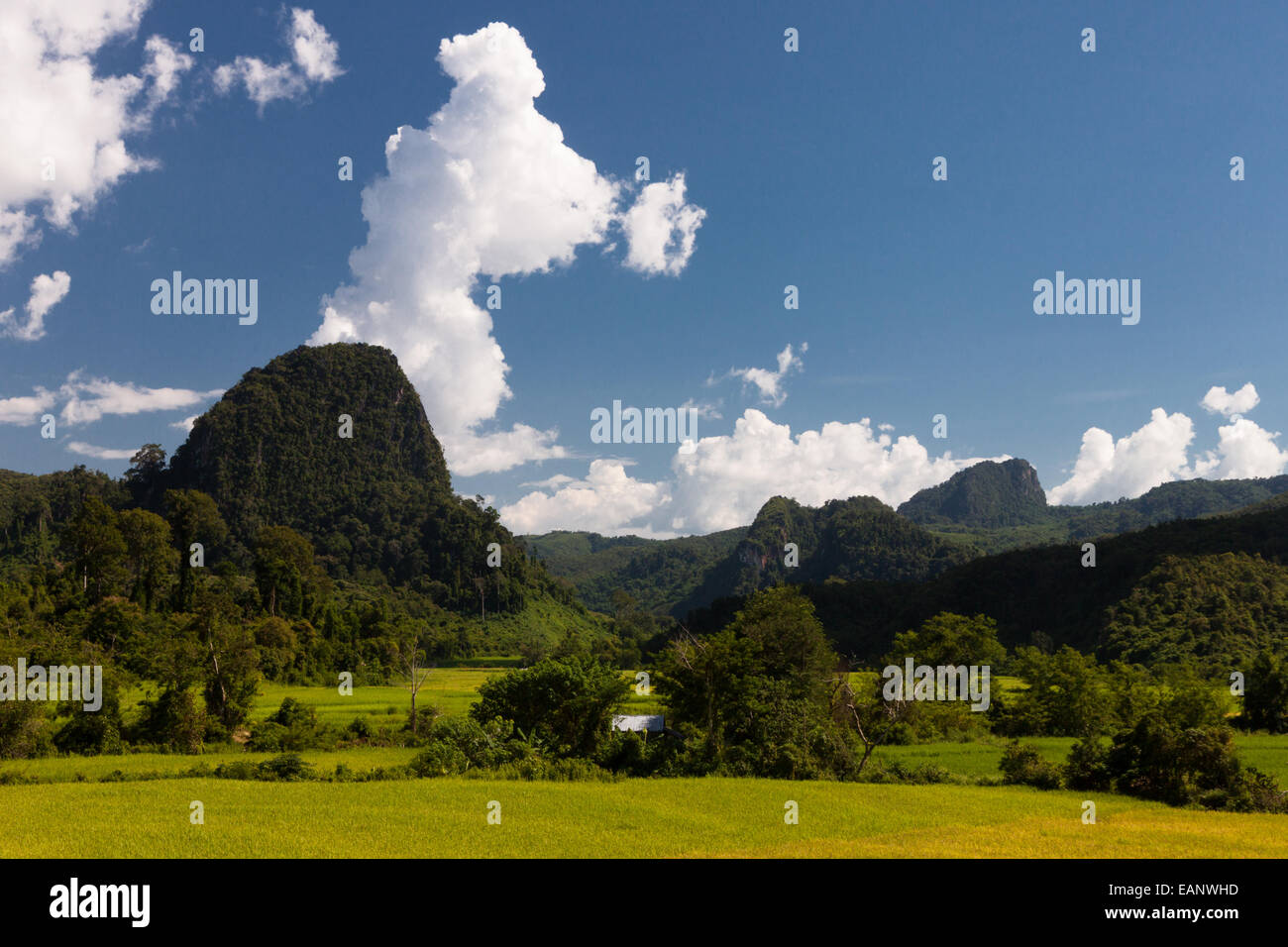 Il lussureggiante paesaggio verde di Laos Foto Stock