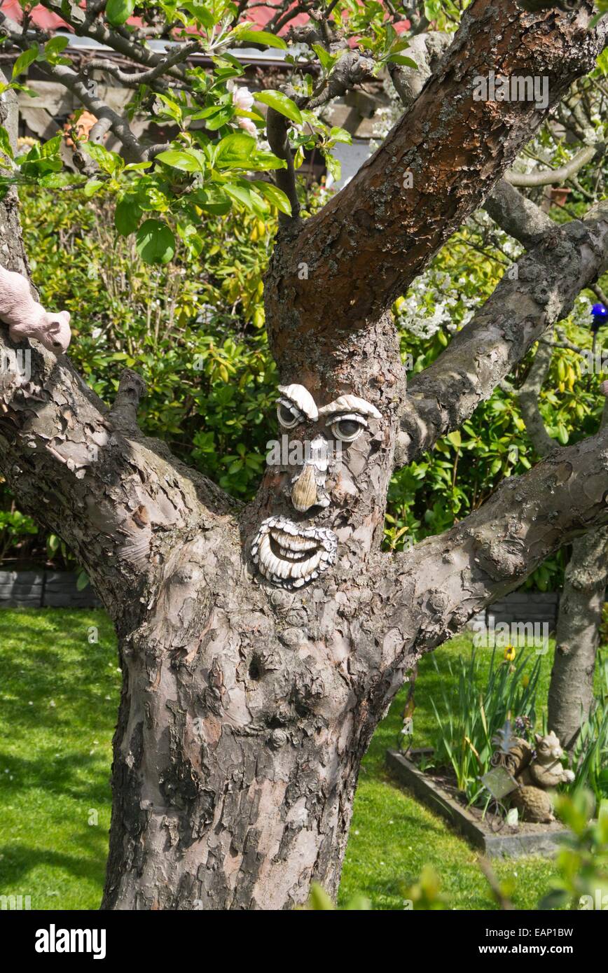Albero con la faccia in un giardino Foto Stock