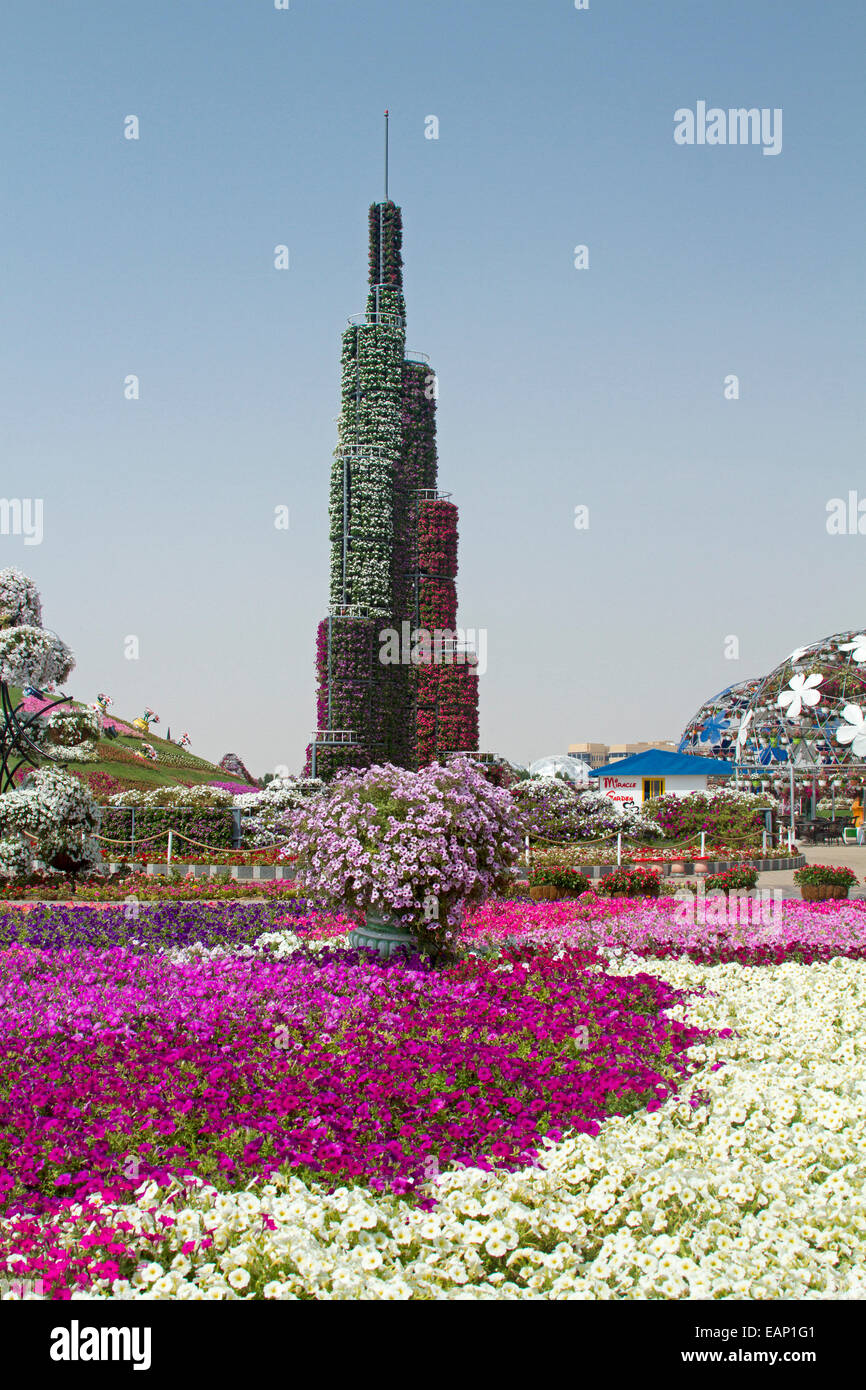 Dubai miracolo giardini, fasce di rosso e bianco nelle petunie nel vasto giardino letti con altre piante fiorite che copre enorme replica di Burj Khalifa Tower Foto Stock