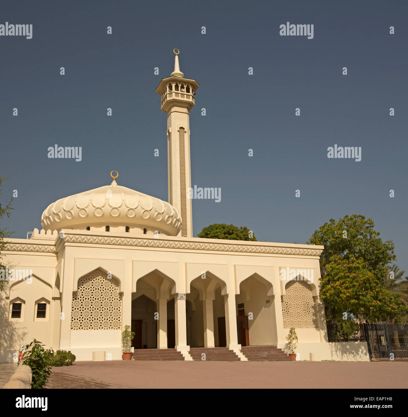 Luccicanti moschea bianca ornato di progettazione architettonica, la grande cupola e minareto di infilzare nel cielo blu in Dubai EMIRATI ARABI UNITI Foto Stock
