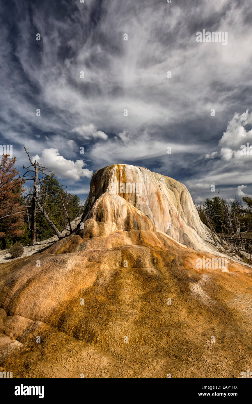 Molla di Orange mound, Mammoth Hot Springs, Yellowstone Foto Stock