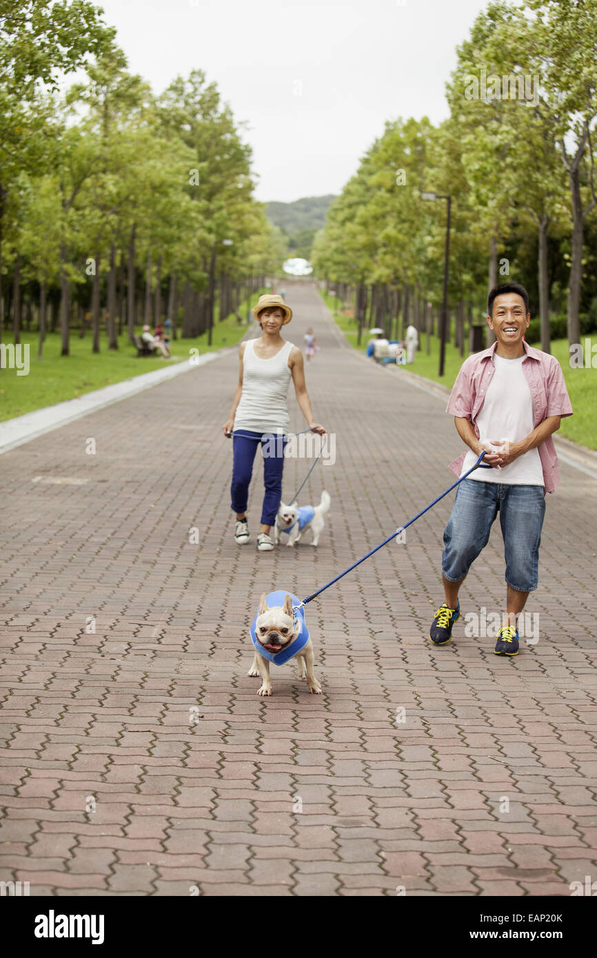 Giovane camminando due cani su un sentiero lastricato. Foto Stock