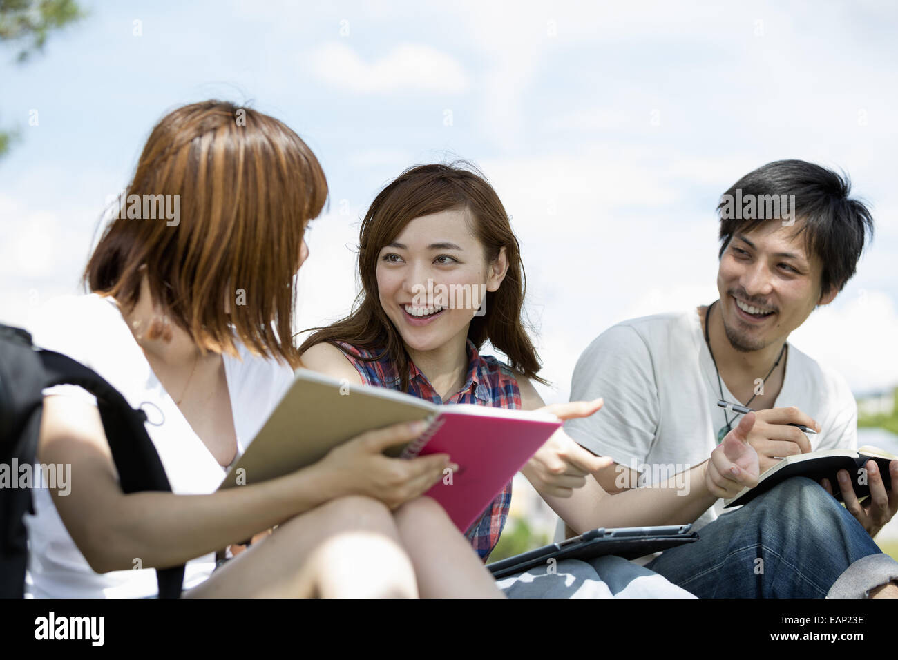 Gruppo di amici nel parco. Foto Stock