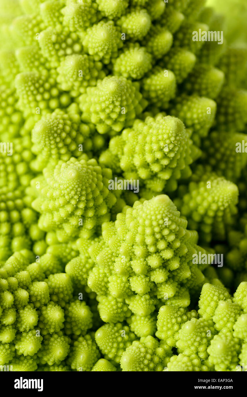 Gli sfondi e texture: abstract verde sfondo naturale, Romanesco broccoli (Brassica oleracea), close-up shot, selettivo fo Foto Stock