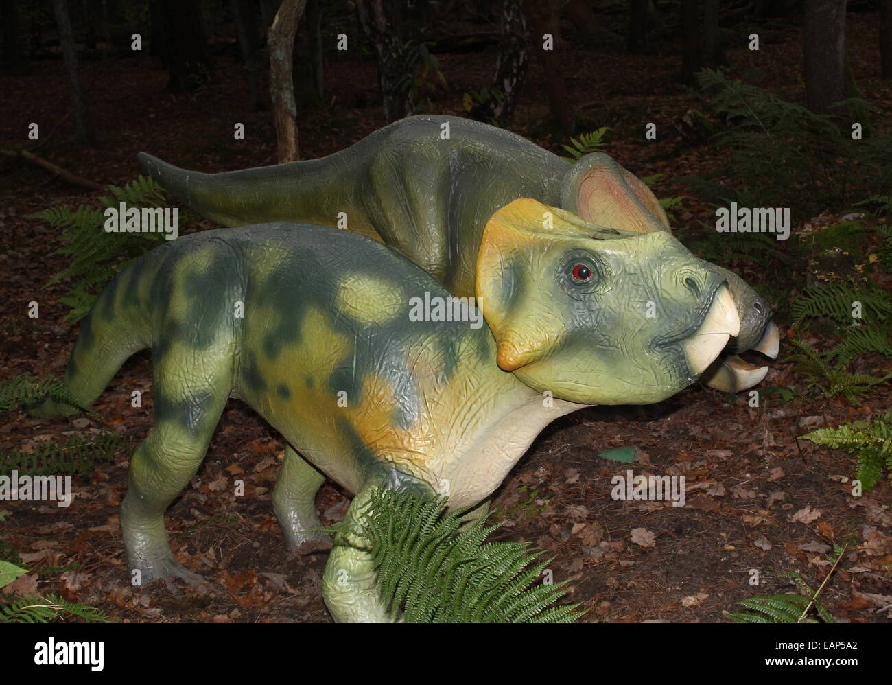 Leptoceratops, una piccola Cretaceo-era dinosauro erbivori, a Dinopark Zoo di Amersfoort, Paesi Bassi Foto Stock