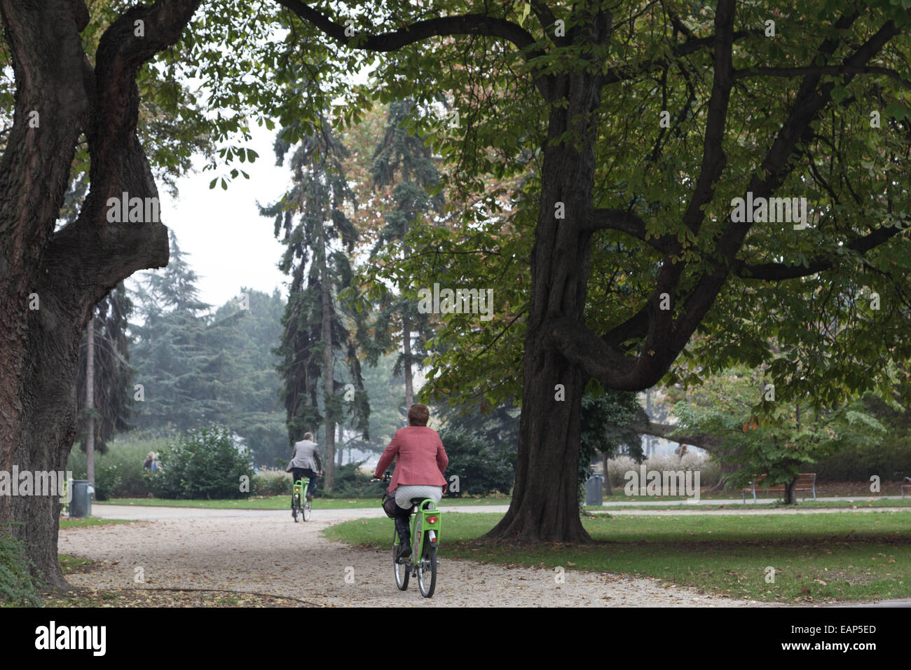Due persone in bicicletta nel parco, giù per la pista ciclabile di un parco, attività ricreative, divertimento mentre visitano l'Isola Margherita Budapest Foto Stock