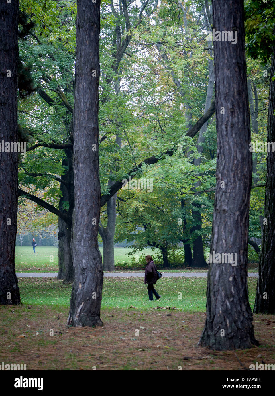 Passeggiate nel parco, una signora attraversa lo spazio verde tra gli alberi sulla isola di Margaret Foto Stock