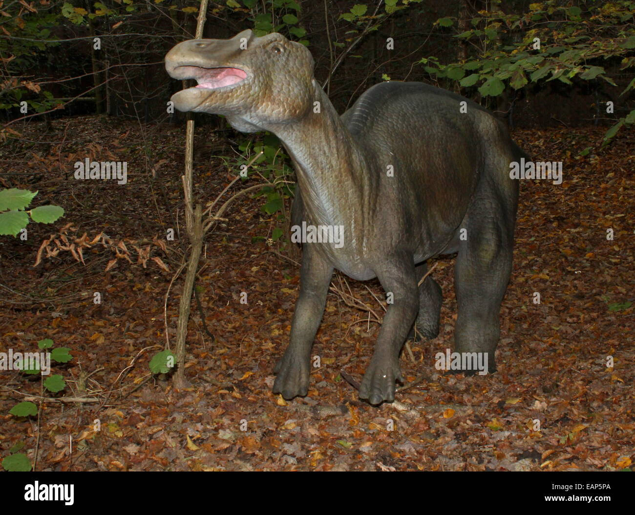 Probactrosaurus, una di medie dimensioni tardo Cretaceo-era dinosauro erbivori dalla Cina a Dinopark Zoo di Amersfoort, Paesi Bassi Foto Stock