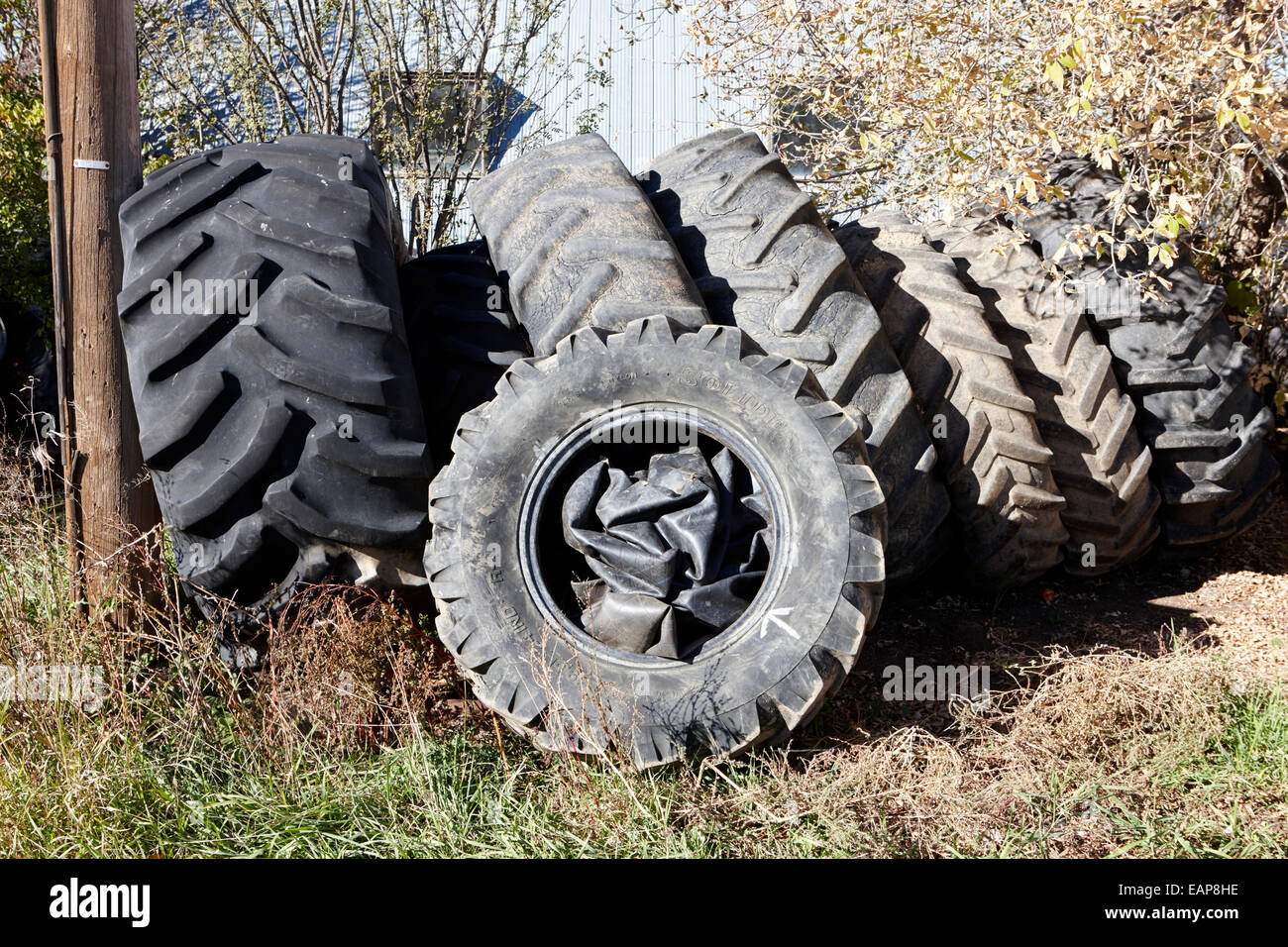 Pila di vecchio trattore industriale di pneumatici per il riciclaggio del Saskatchewan, Canada Foto Stock