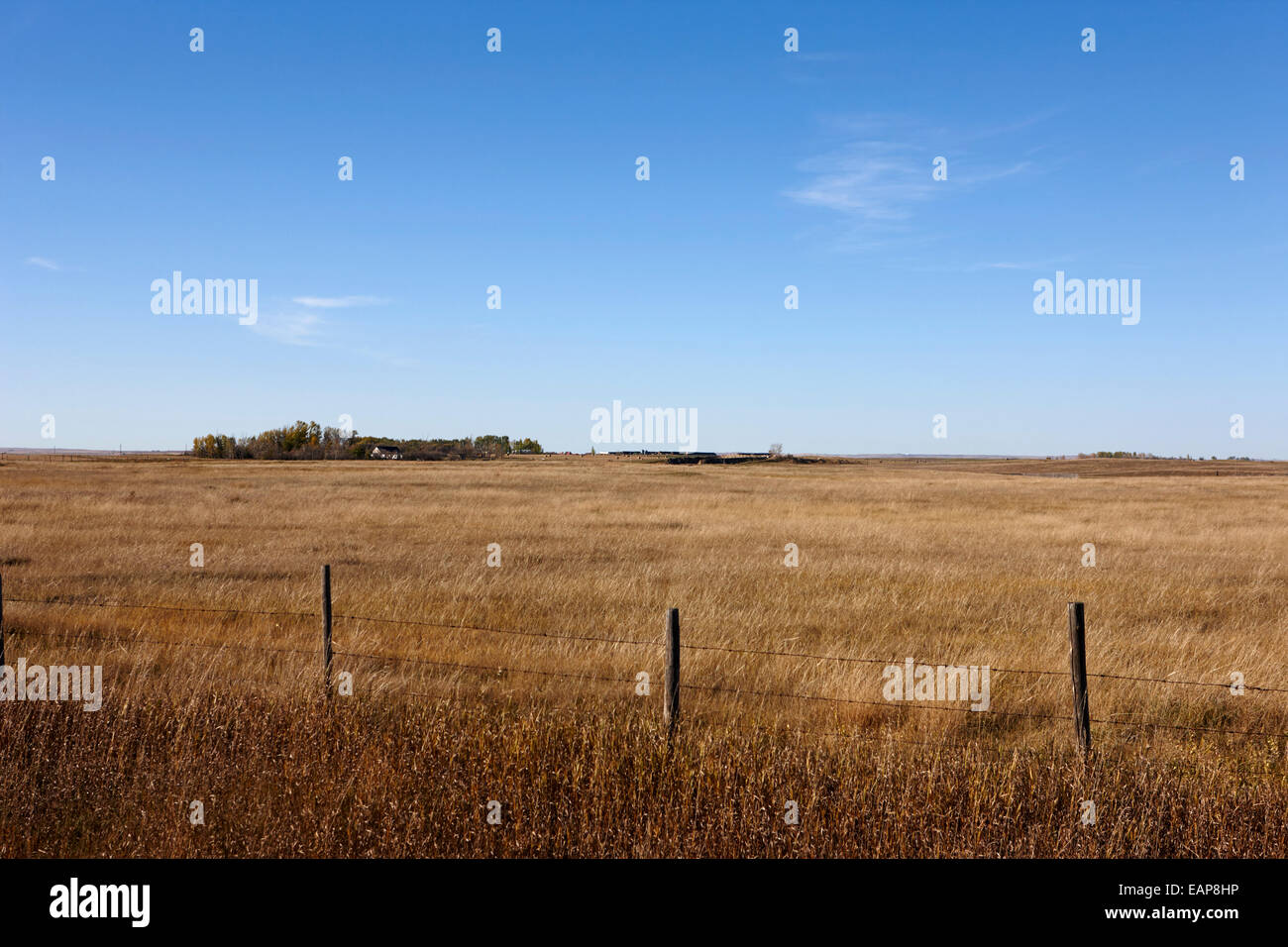 Prairie rurale di prati e campi coltivati in campi aperti bengough Saskatchewan Canada Foto Stock