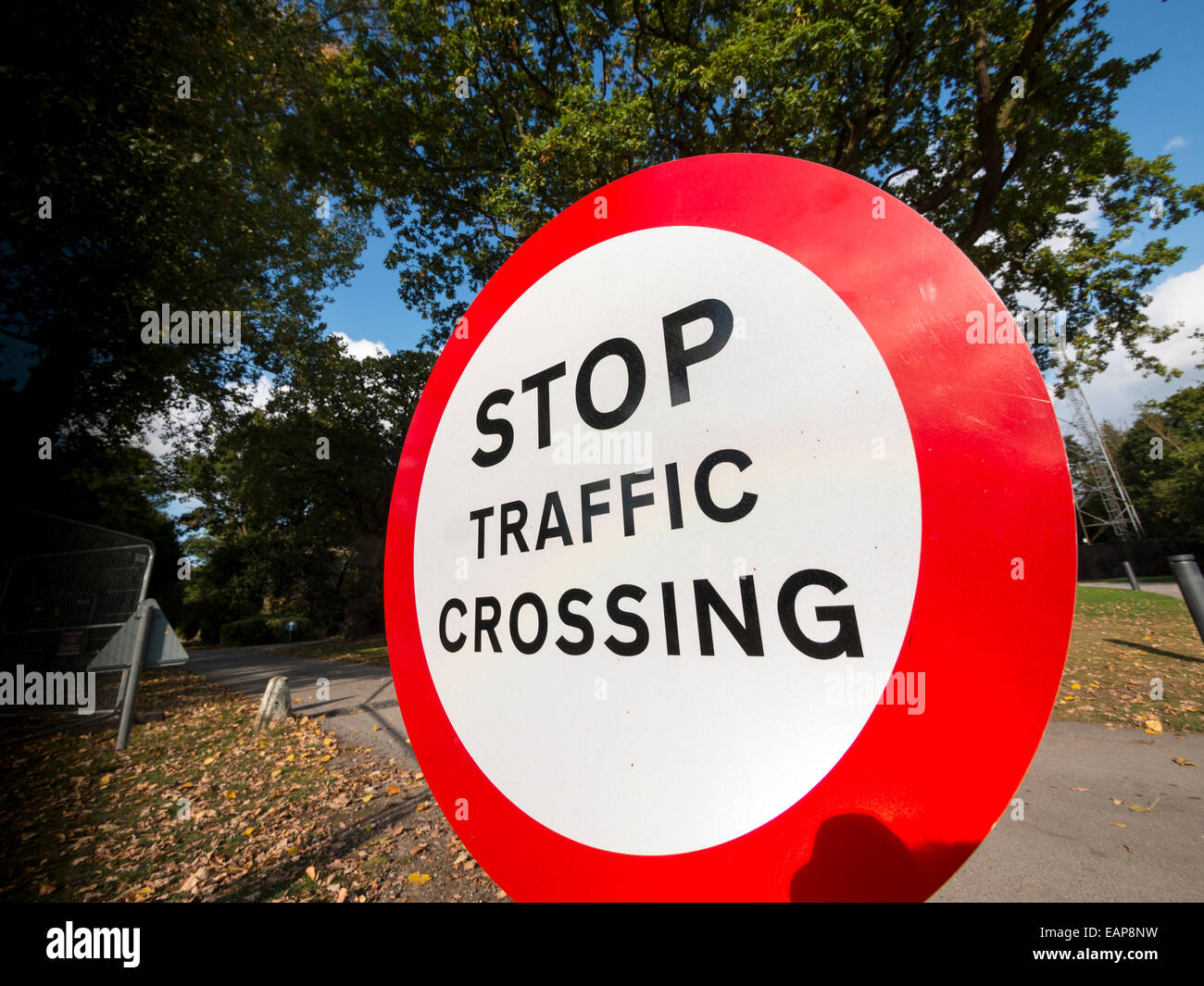 Stop,il traffico che attraversa segno Foto Stock