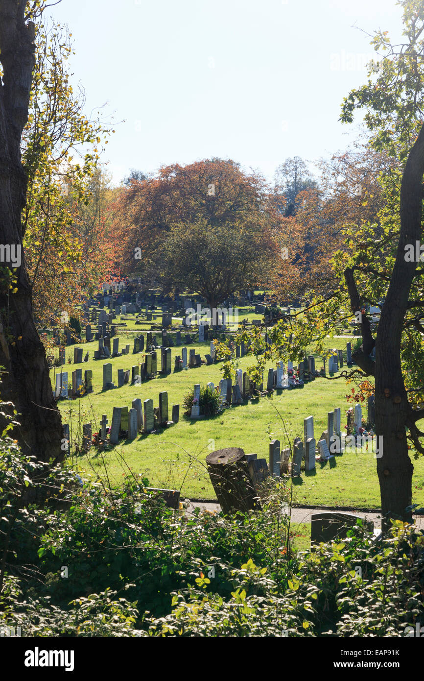 File ordinate di lapidi in un cimitero attraverso gli alberi Foto Stock