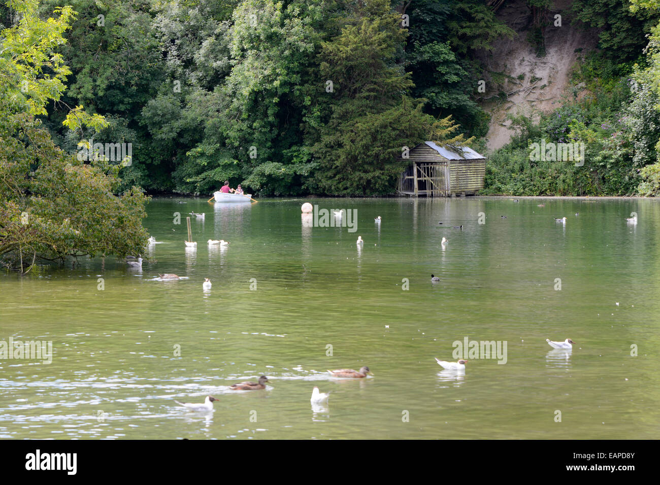 Swanbourne lago vicino al Castello di Arundel in West Sussex. In Inghilterra. Con la gente in barca a remi Foto Stock