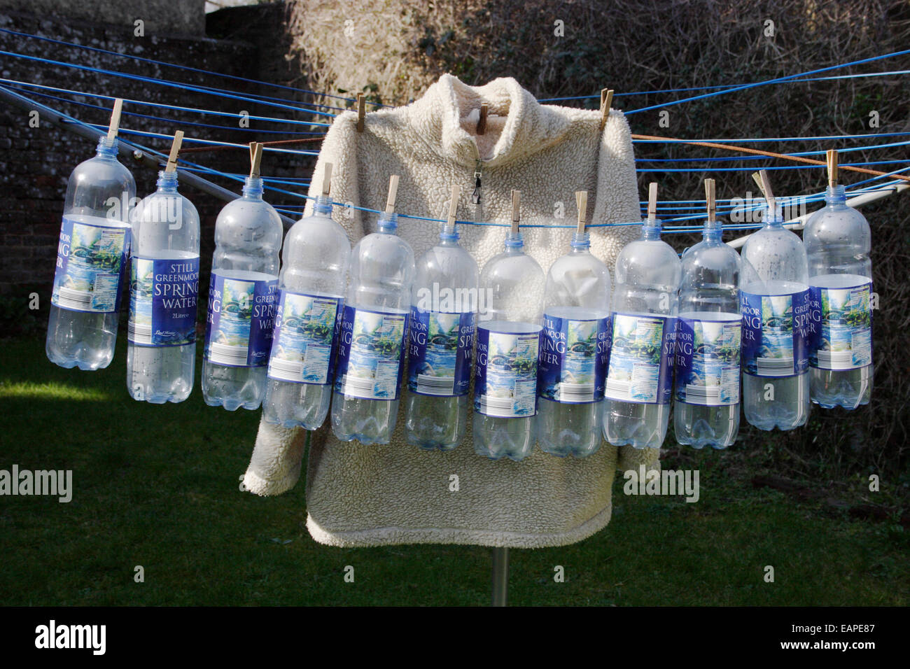 12 bottiglie di plastica e camicia sulla linea di lavaggio illustra hos la plastica viene riciclata in pile polari Foto Stock