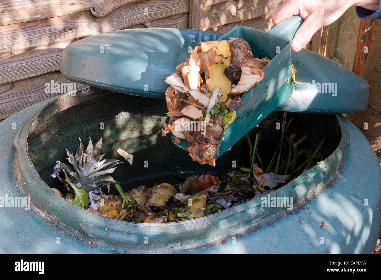 Persona di mettere le verdure in compost bin Foto Stock