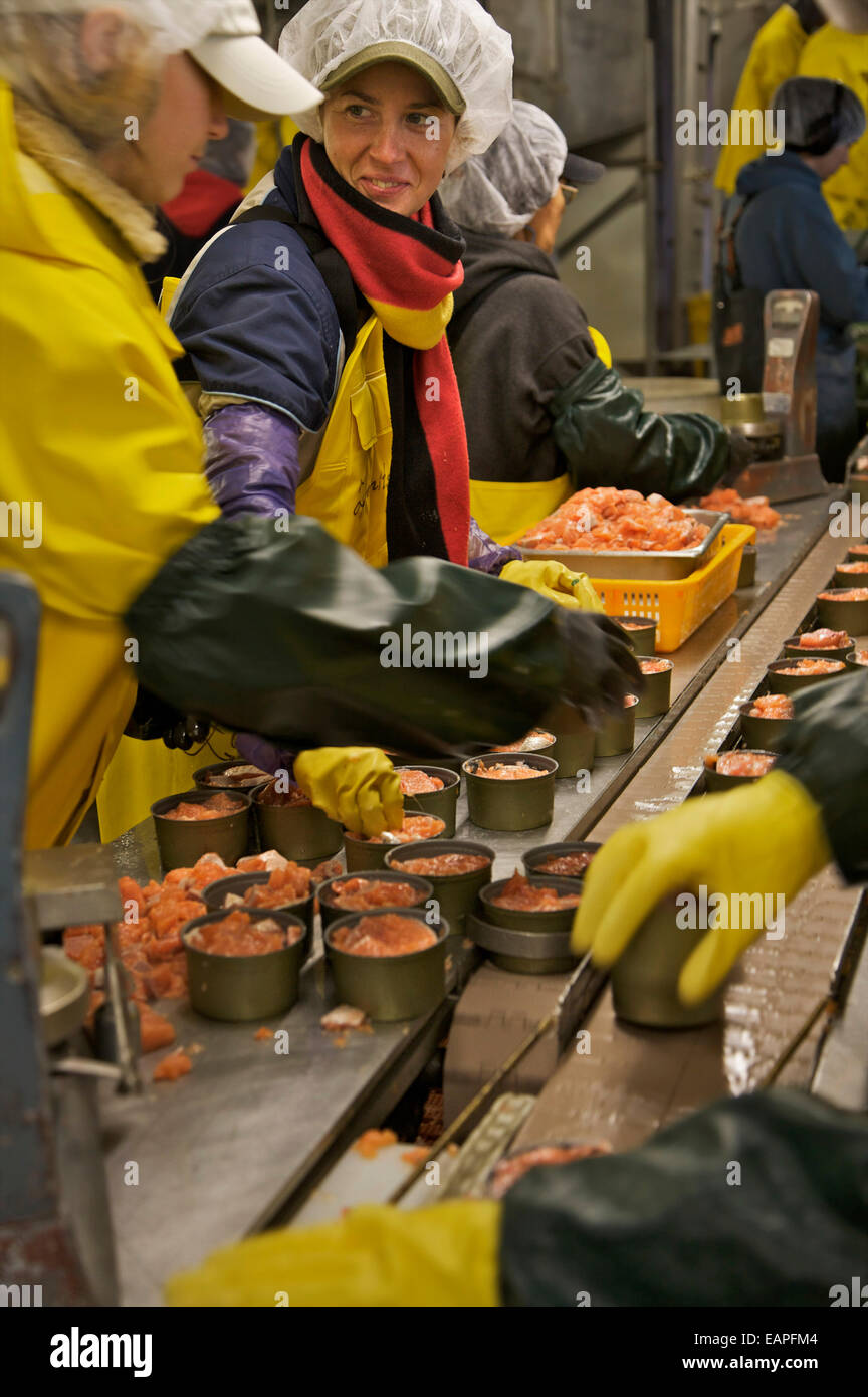 Linea di inscatolamento a Peter Pan Seafoods, Dillingham, Western Alaska Foto Stock