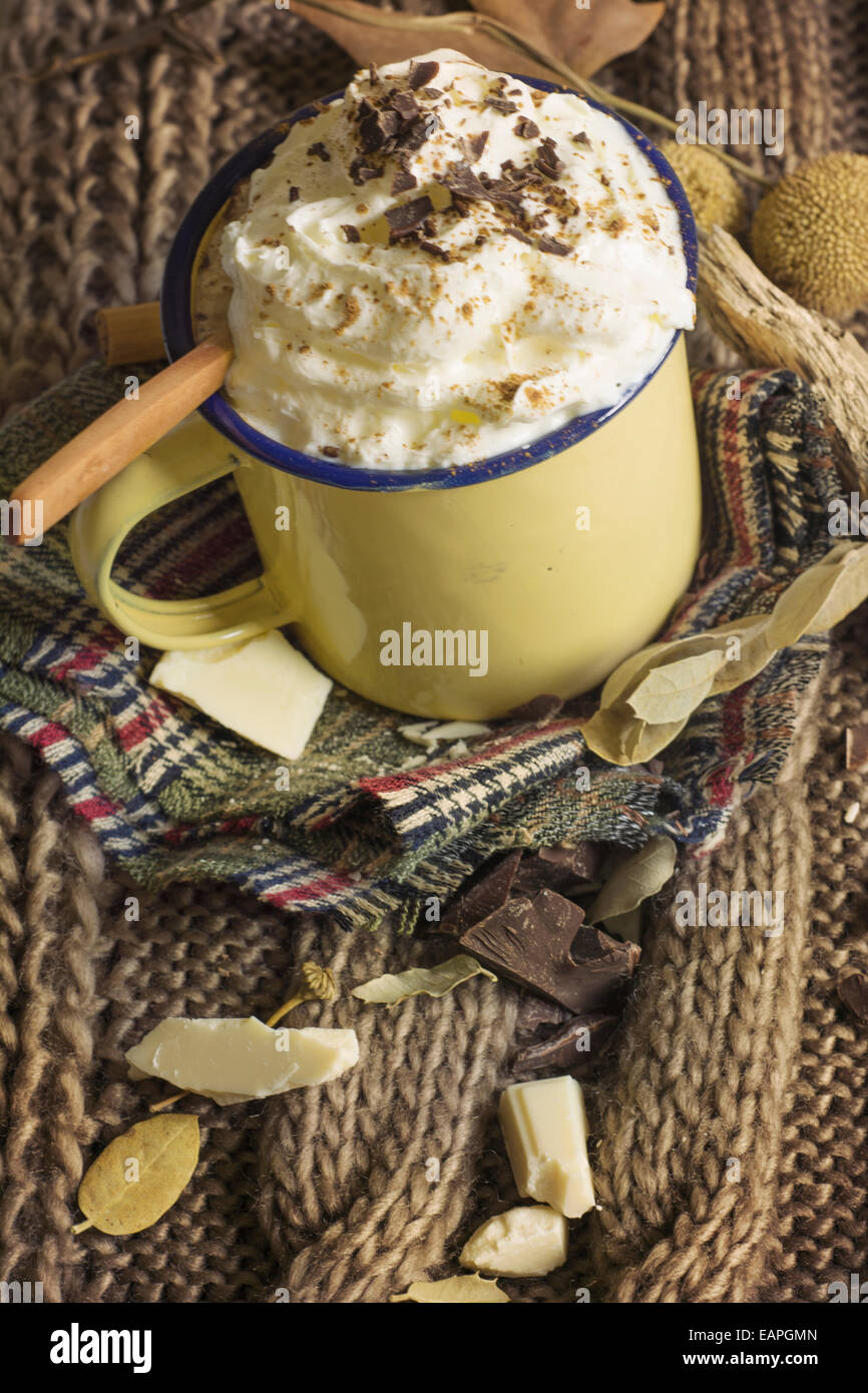 Vecchia tazza di metallo con cioccolata calda , sobre colchon de hojas secas, aspecto invernal Foto Stock