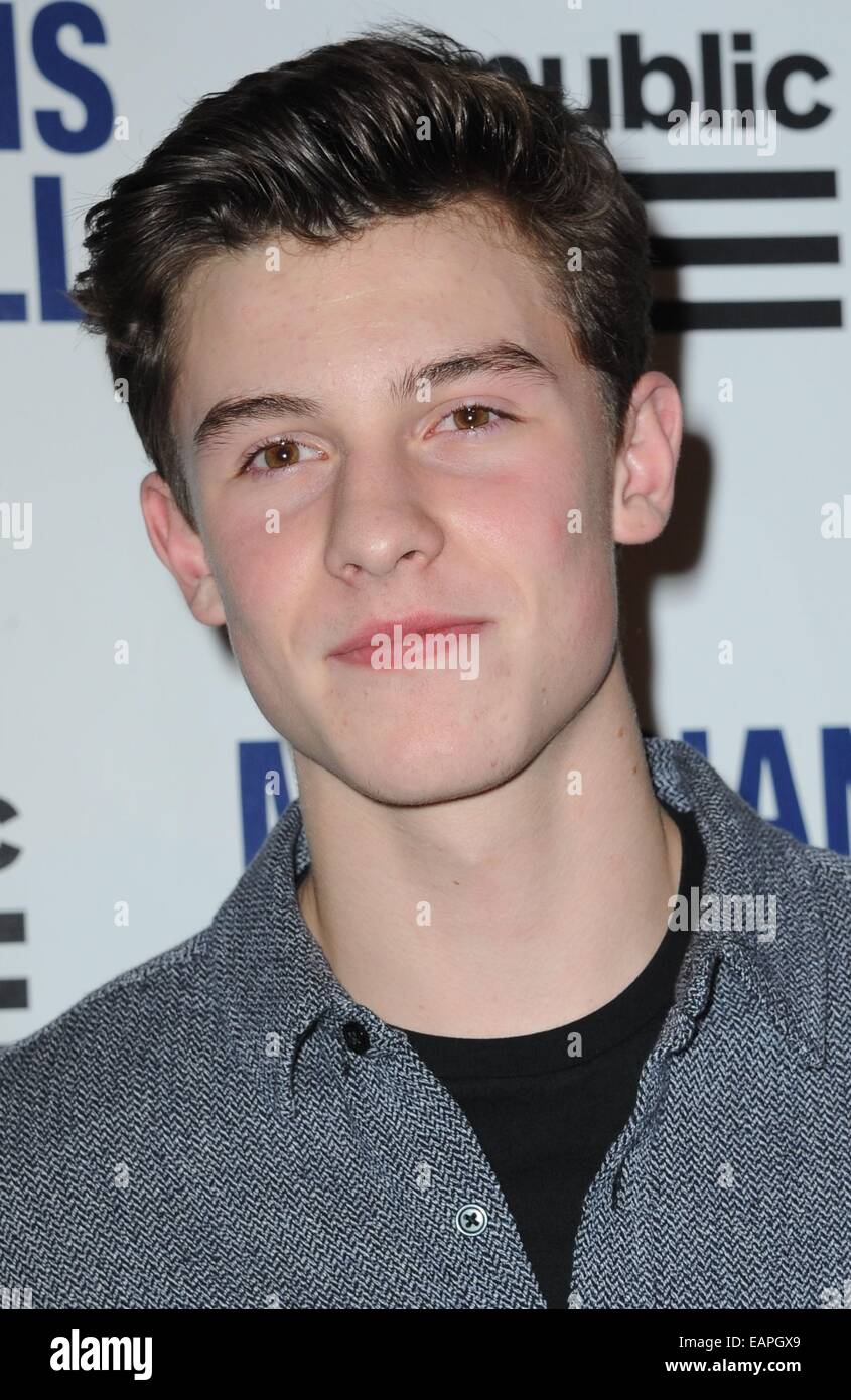 New York, NY, STATI UNITI D'AMERICA. Xviii Nov, 2014. Shawn Mendes presso gli arrivi per musicisti su chiamata quindicesimo anniversario, Espace, New York, NY Novembre 18, 2014. Credito: Kristin Callahan/Everett raccolta/Alamy Live News Foto Stock