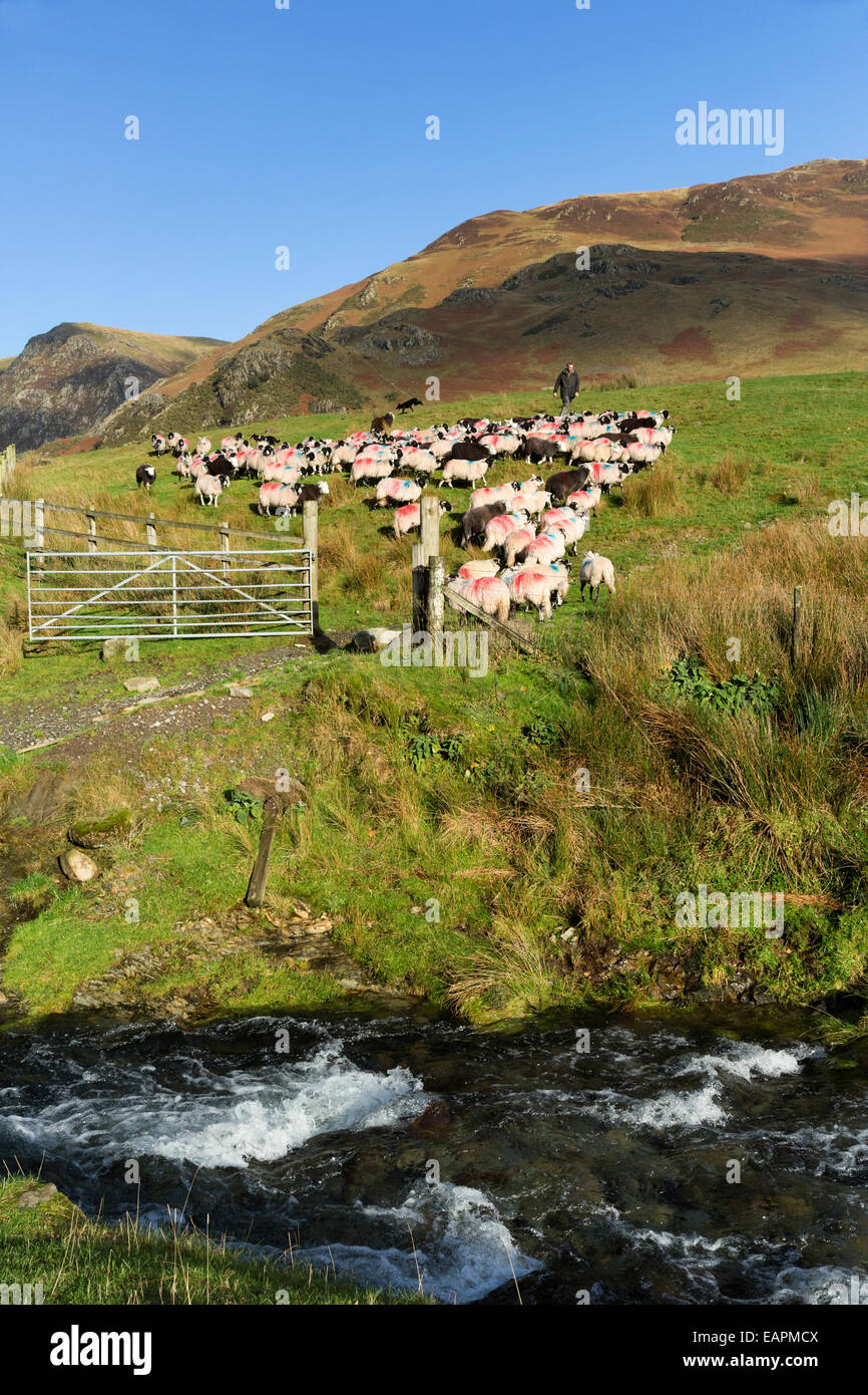 Buttermere in Cumbria, fotografata nel novembre 2014 Foto Stock