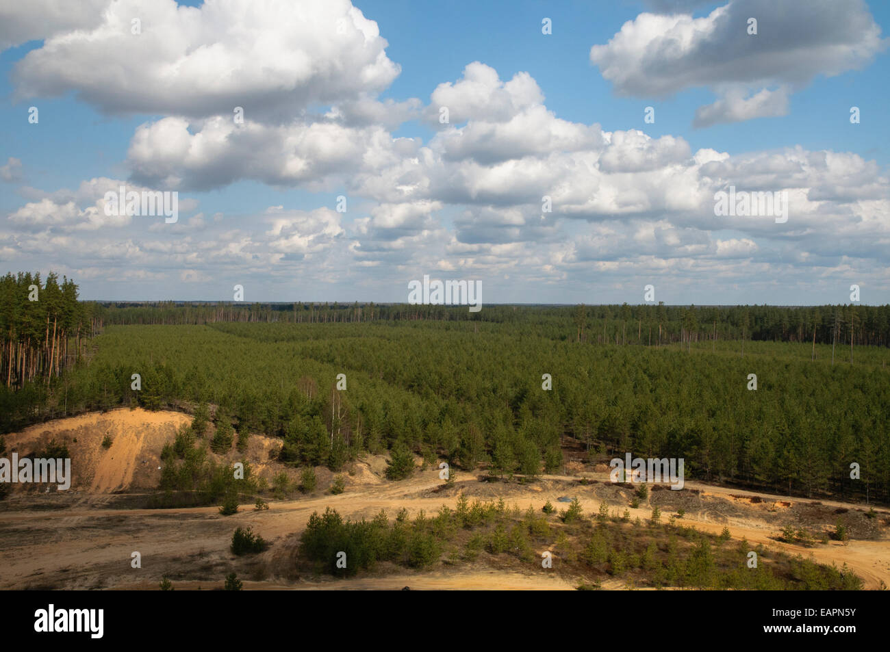 Le piantagioni della foresta e la sabbia nel sito di estrazione nel nord-est della Lettonia Foto Stock